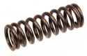 Orbitrade Valve spring