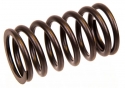 Orbitrade Valve spring
