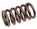 Orbitrade Valve spring